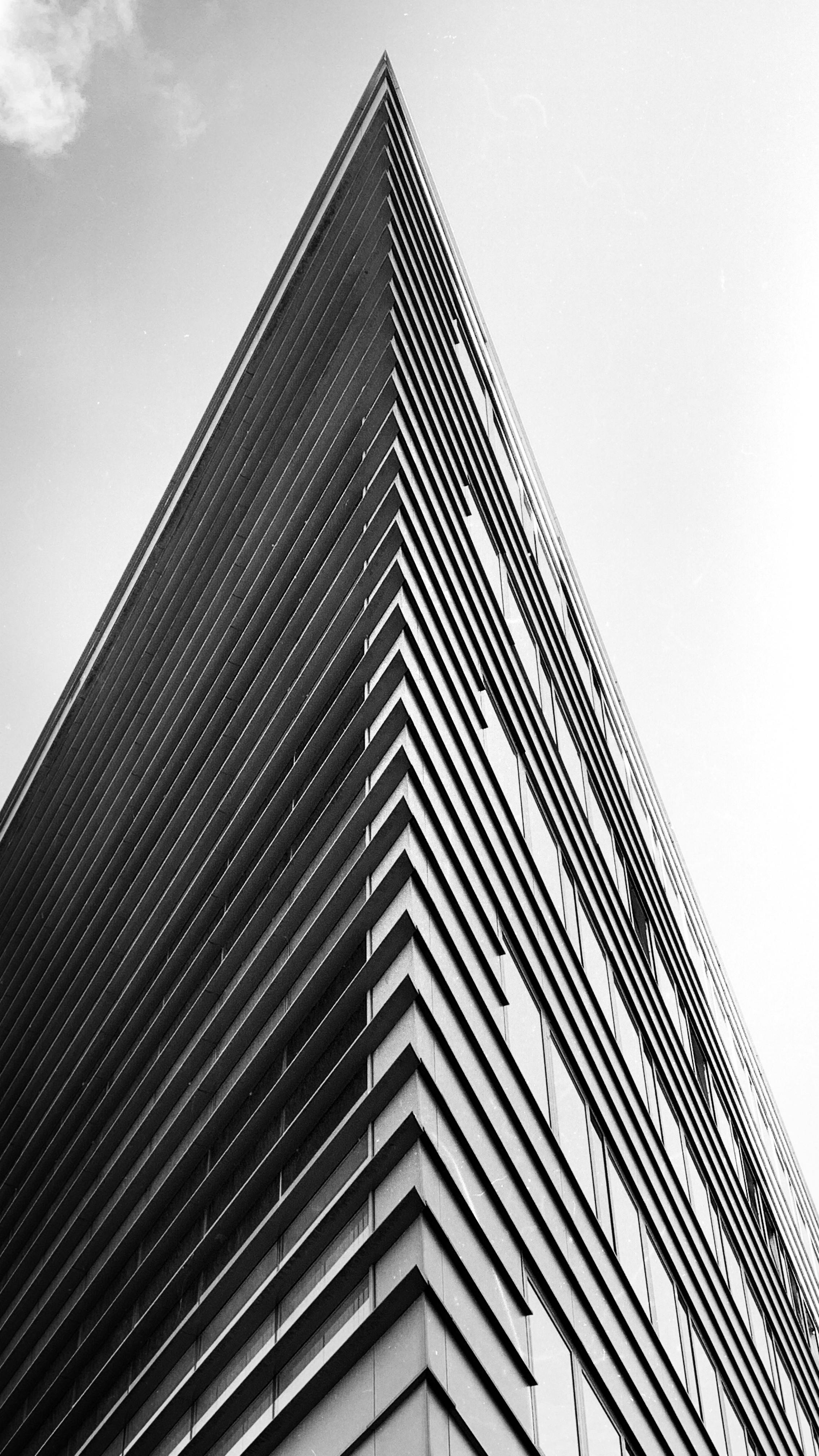 True Corpus advisor portrait